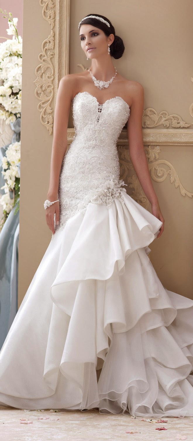 David tutera bridal on sale collection