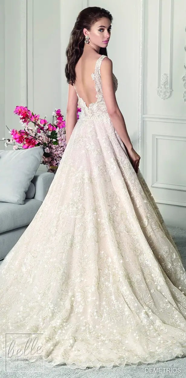 Demetrios wedding gowns 2019 best sale