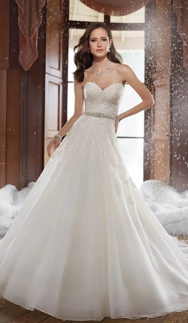 Sophia Tolli Poppy Wedding Dress 3