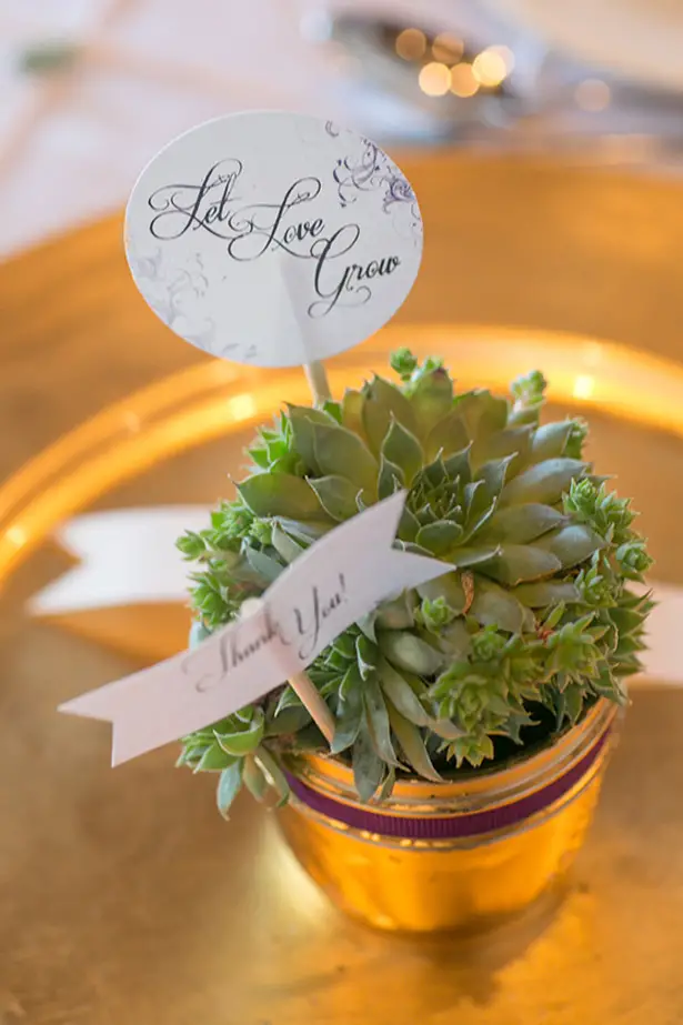Succulents on a pot wedding favor