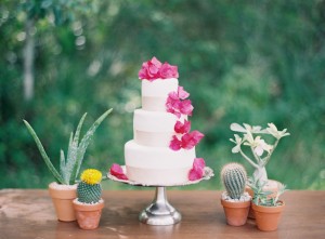 Mexicana Drama Inspired Rustic Wedding Place Setting - Melanie Gabrielle Photography