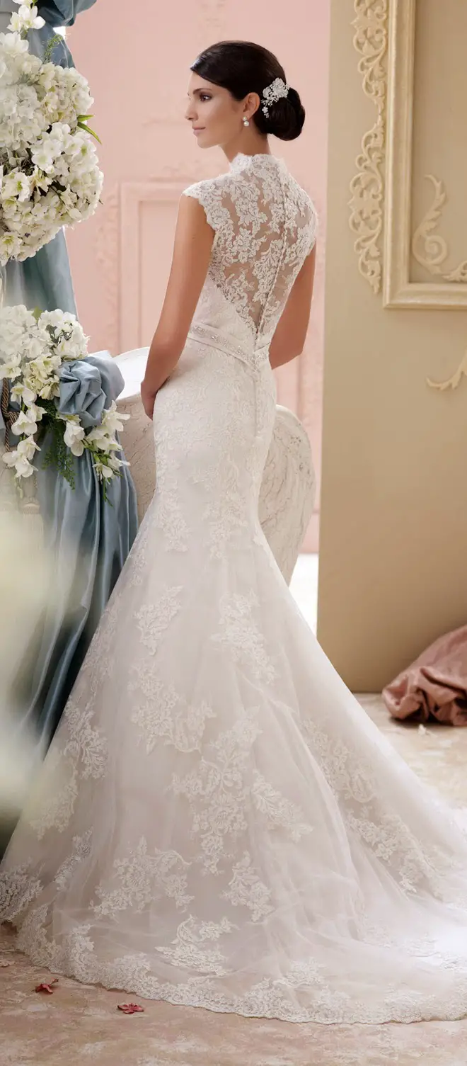 Best Wedding Dresses of 2014 - David Tutera for Mon Cheri
