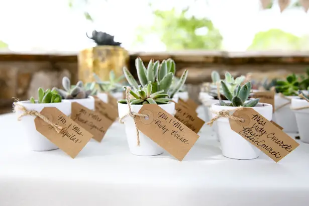 Succulent Wedding Favors