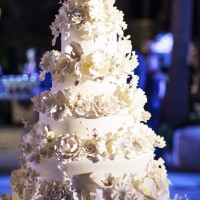 Sophisticated Houston Wedding