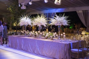 Sophisticated Houston Wedding - Select Studios Photography