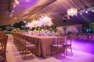 Luxury Houston Wedding - Select Studios Photography