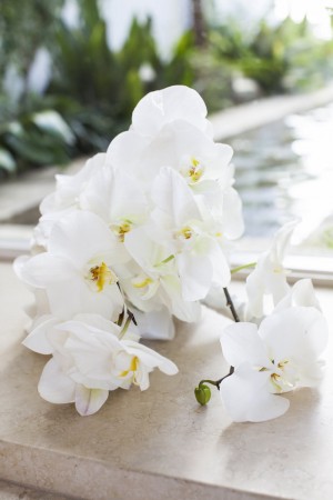 White Orchid Wedding Bouquet - Select Studios Photography