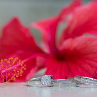 Wedding Rings - Madison Baltodano Photography