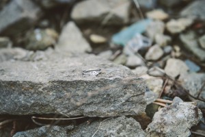 Engagement ring - Meagan White Photo