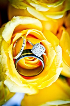 Wedding rings - Brett Charles Rose Photo
