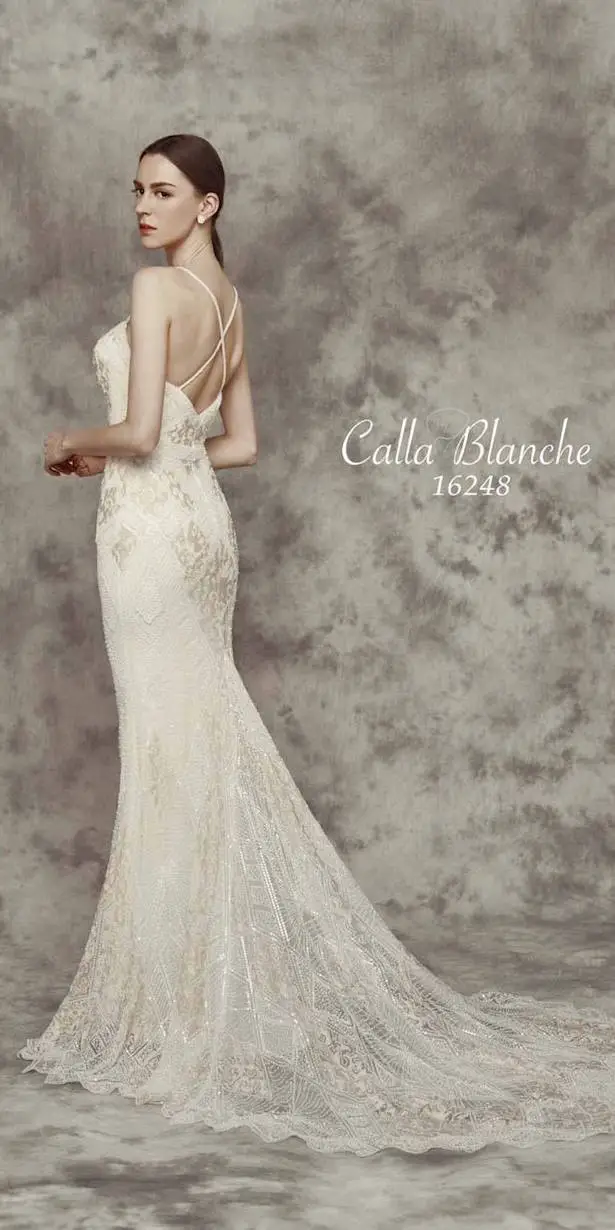 calla blanche bella