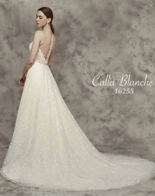 calla blanche liz