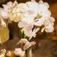 Wedding flowers - Clane Gessel Photography