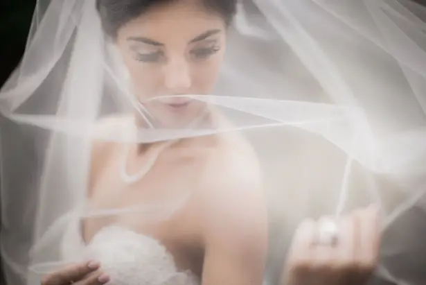 Bridal veil - Clane Gessel Photography