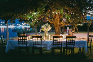 Outdoors wedding reception - Sage to Sea Film Photography