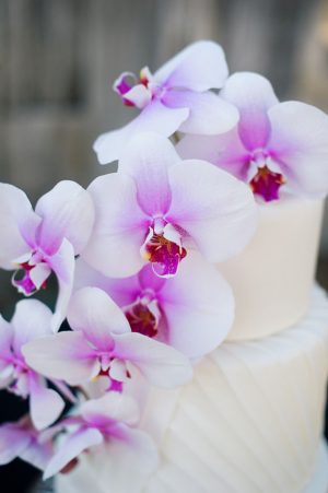 Wedding cake ideas - Jenna Leigh Wedding Photography