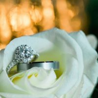 Wedding rings - Shandi Wallace Photography