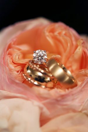 Bride and groom rings - BLUE MARTINI PHOTOGRAPHY