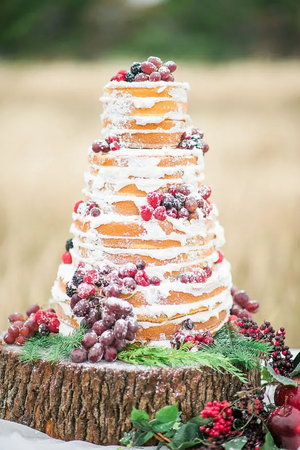 Naked wedding cake - Dani Cowan Photography