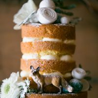 Wedding cake details - Erin Johnson Photography