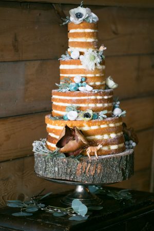 Winter wedding cake - Erin Johnson Photography