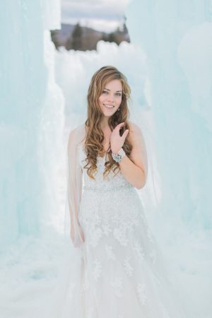 Bridal picture - Andrea Simmons Photography LLC