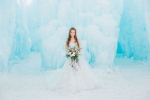Bridal picture ideas - Andrea Simmons Photography LLC