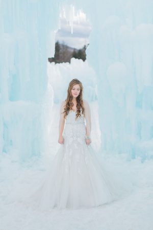 Elegant bride - Andrea Simmons Photography LLC