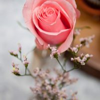 Pink wedding roses - Claudia McDade Photography
