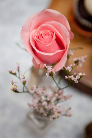 Pink wedding roses - Claudia McDade Photography