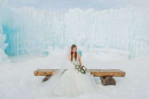 Winter wedding photo ideas - Andrea Simmons Photography LLC