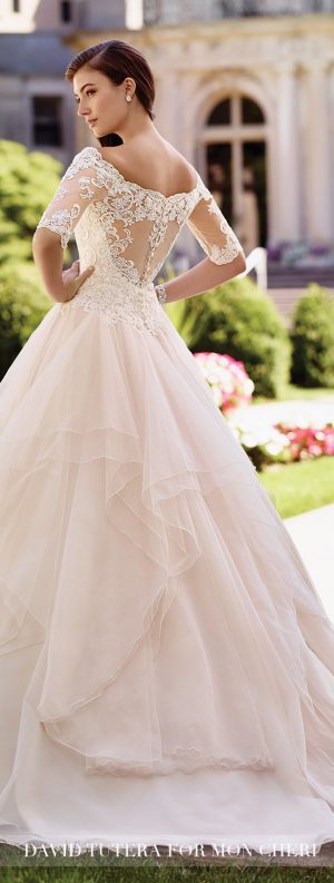 Lace Sleeves Wedding Dress - David Tutera for Mon Cheri Bridals 2017