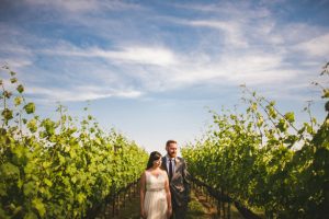 Vineyard Wedding- Sam Hurd Photography