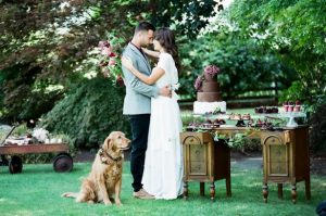 Bride and groom photo - LLC Heather Mayer Photographers