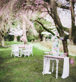 Wedding cake ideas - Caroline Ross Photography