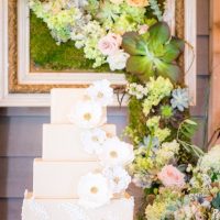 Wedding cake background - PPD Studios
