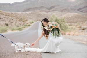 Bride and dog - Coffee Creative Photography