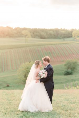blush winery wedding - Alicia Lacey Photography