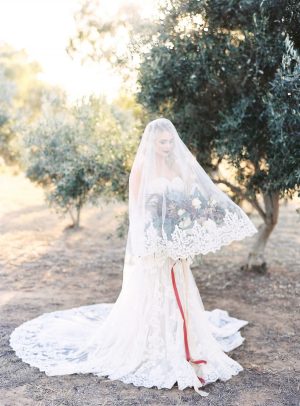 Wedding Veil - Sheri McMahon Photography