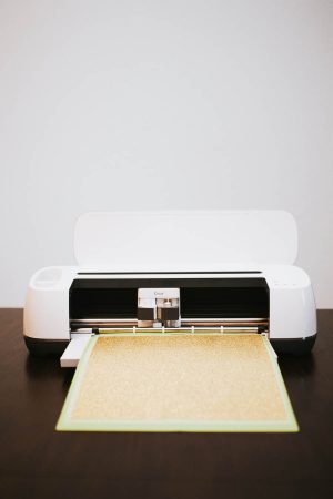 Cricut maker - Sparrow and Gold Photography
