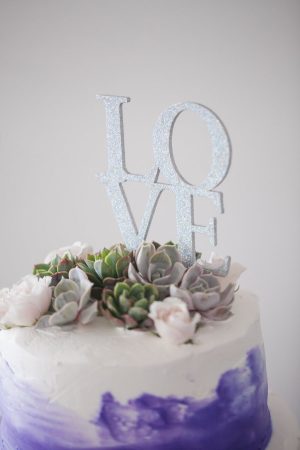 Wedding Cake Topper- Casey Hendrickson Photography