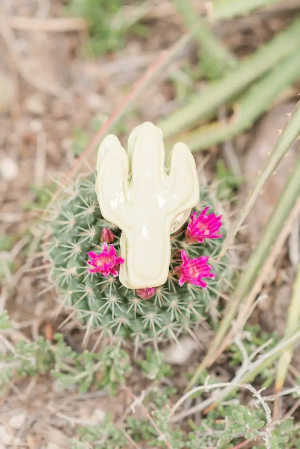 Cactus cookie - Jade Min Photography LLC