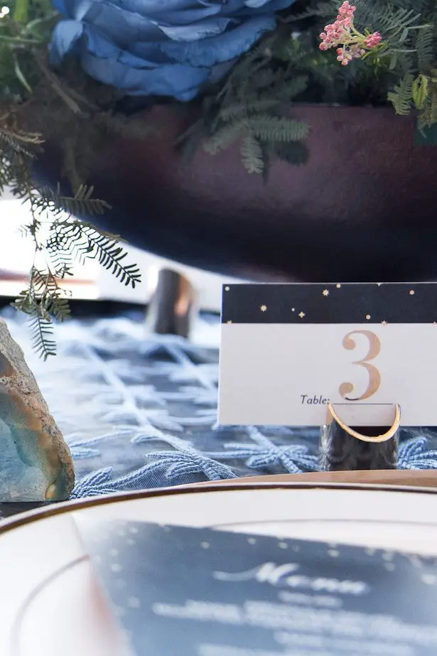 Celestial Wedding by Shutterfly - Vanessa Anne Photography