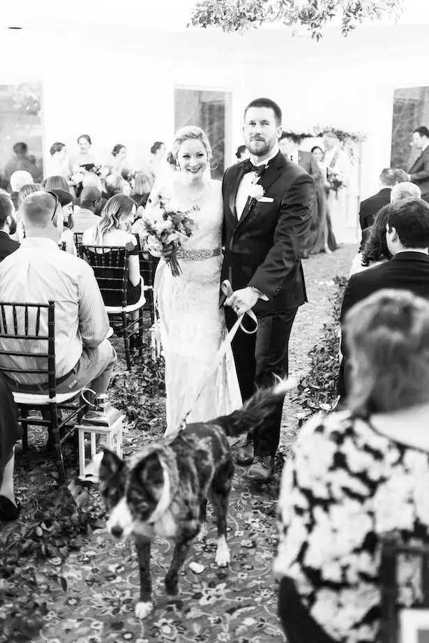 Wedding Dog - Lieb Photographic