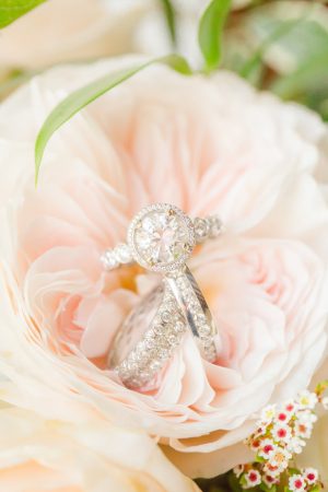 Wedding Rings - Idalia Photography