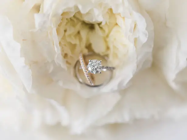 Wedding rings - Flashy Mama Photography