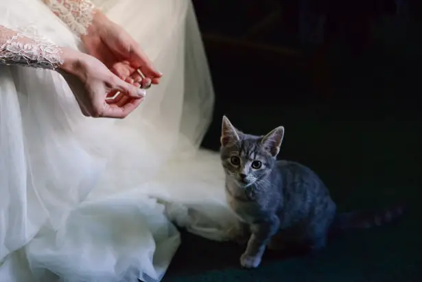 Wedding Pet - Marina Claire and Company