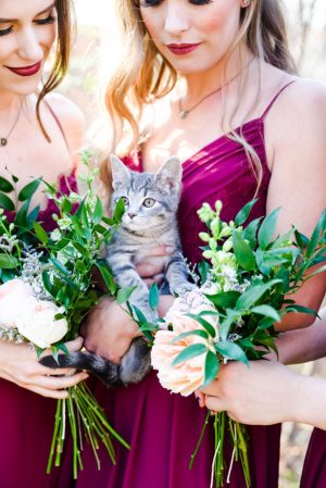 Wedding Pet - Marina Claire and Company