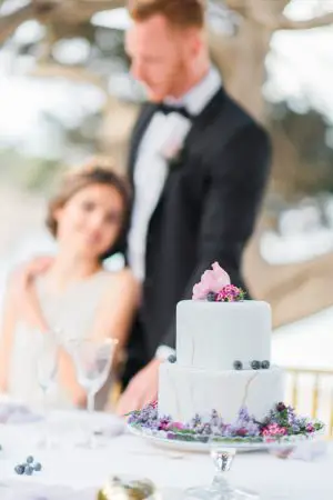 Marble Purple Accent Wedding Cake - Heike Moellers Photography
