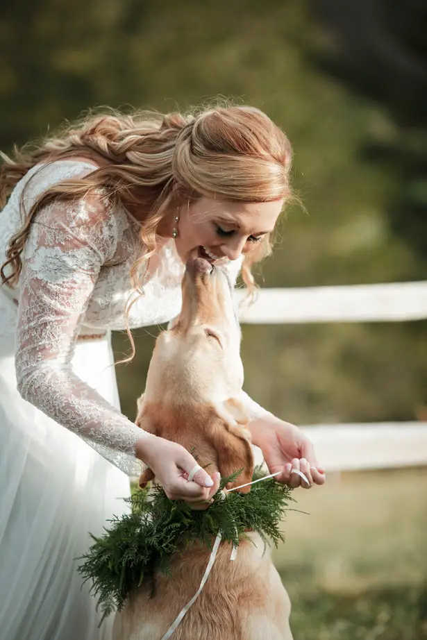 Wedding Pet - Kathy Beaver Photography